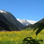 Apartman Mueller *