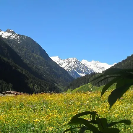 Apartamento Müller *