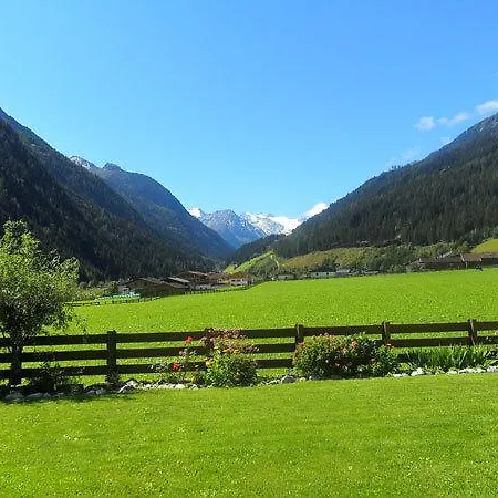 Apartament Mueller